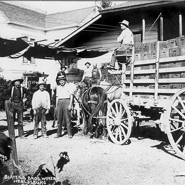 Scatena Winery Legacy