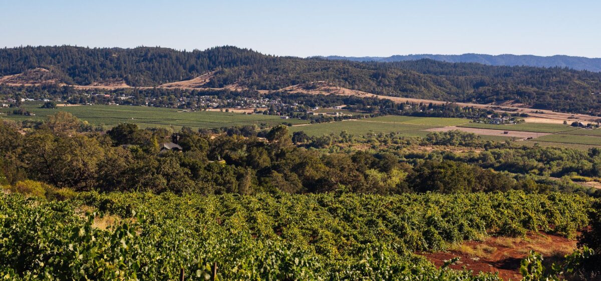 February 2024 club newsletter