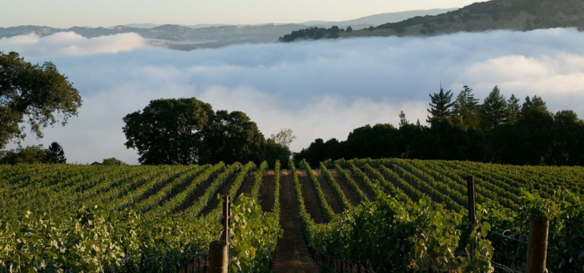 September 2024 club newsletter